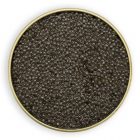 caviale sevruga